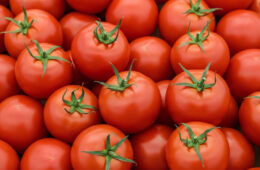 Tomato Seed Extract Shows Prebiotic Potential and Supports Gut Microbiota Health